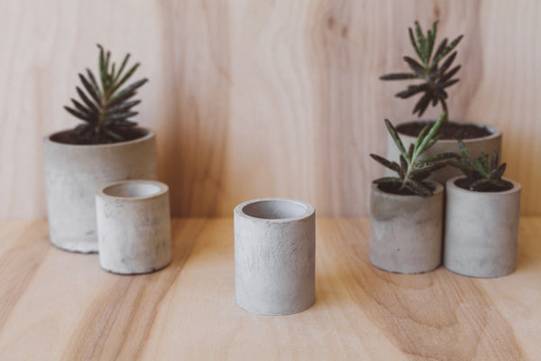 Cylinder Planter - 2.25