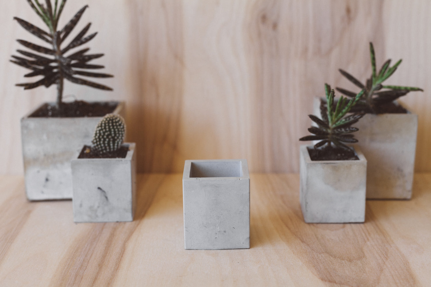 plant pots made in usa Cube Planter