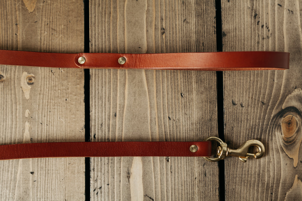 Dog Lead - Cognac