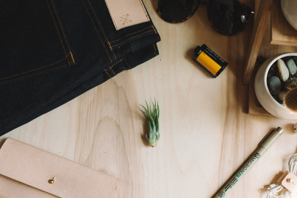 Air Plant - Ionantha Scaposa