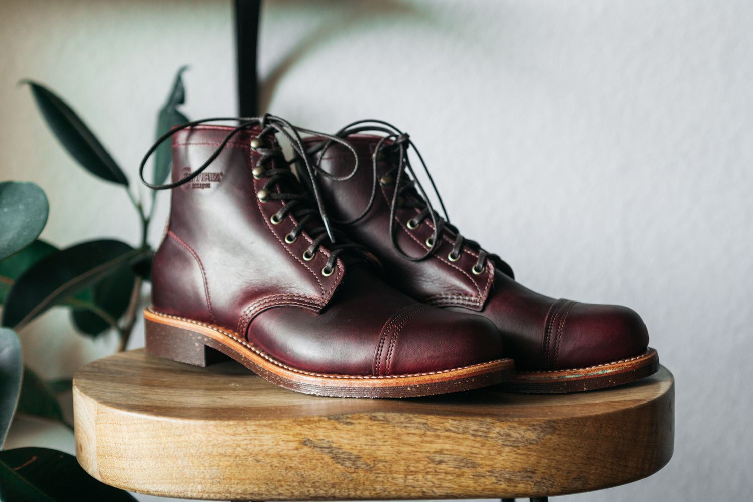Chippewa Smith Boot - Cordovan