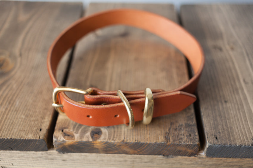 Dog Collar - Cognac