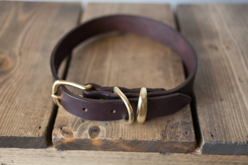 Dog Collar - Espresso
